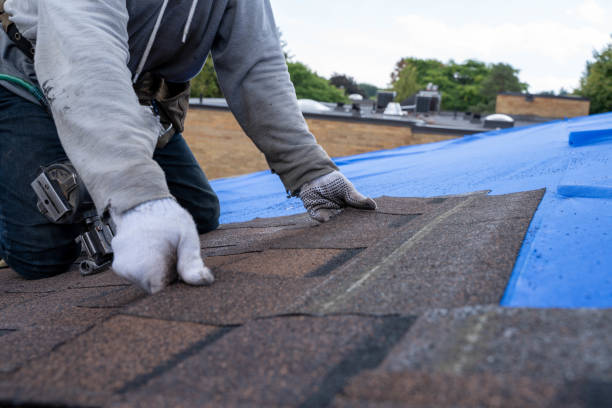 Best Roof Ventilation Installation  in Cottonwood Heights, UT