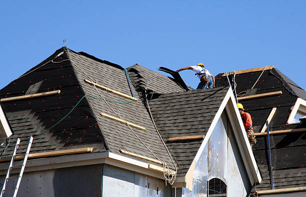 Best Roof Moss and Algae Removal  in Cottonwood Heights, UT